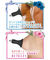 yPPXO~ʌzjbvGeBJ@`Nj[p[^[llP_聄